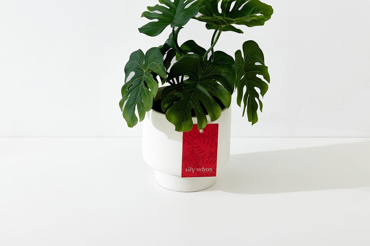 企業(yè)VI設(shè)計(jì) 企業(yè)VI設(shè)計(jì)